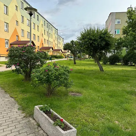 Boho Przystan - Idealny Dla Ciebie * Mikołajki